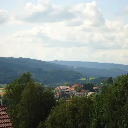 Ferienwohnung Bodenmais Am Silberberg Exterior foto
