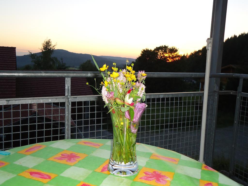 Am Silberberg Apartment Bodenmais