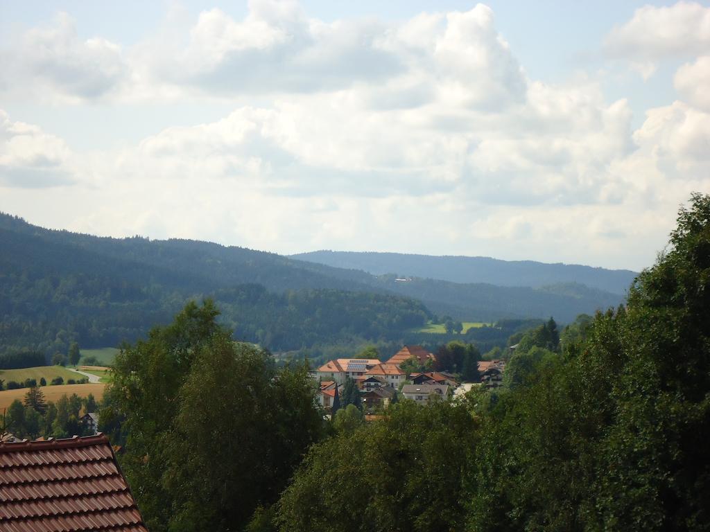Am Silberberg Apartment Bodenmais